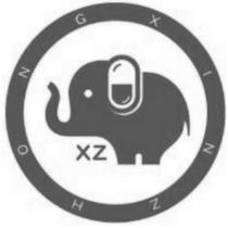 XINZHONG XZ 及圖