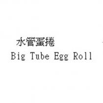 水管蛋捲 Big Tube Egg Roll