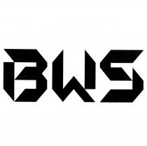 BWS 圖