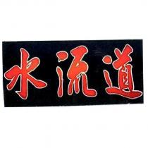 水流道