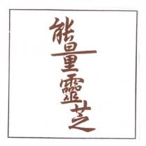 能量靈芝
