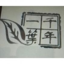 千年一葉及圖
