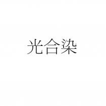 光合染
