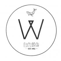 白色鯨魚 WHITE WHALE 及圖