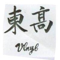 東高 VLNYL 