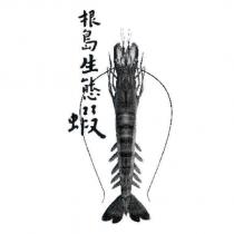 根島生態蝦及圖