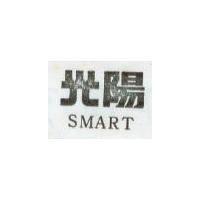 光陽 SMART