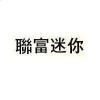 聯富迷你