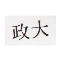 政大