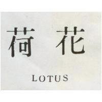 荷花 LOTUS 