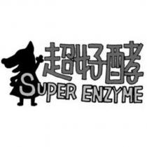 超好酵 SUPER ENZYME 及圖