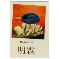 明霖及圖 MAINLAND 