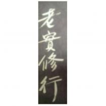 老實修行
