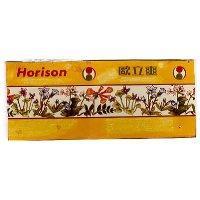 歐立爽 HORISON