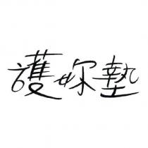 護妳墊