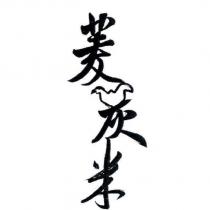 菱炭米設計字
