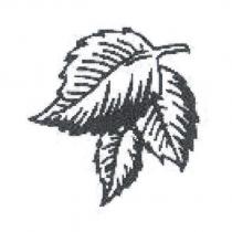 泉豐茶行標章
