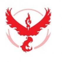 POK É MON GO team logo