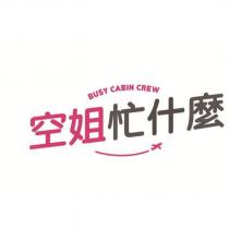 空姐忙什麼 BUSY CABIN CREW 及圖