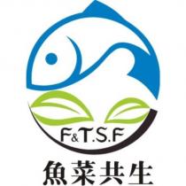 魚菜共生及圖 F&T.S