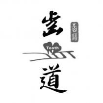 齒道 TOOTH 及圖