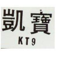 凱寶 KT 9 
