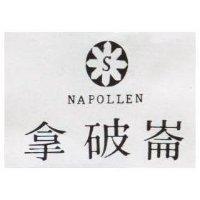 拿破崙及圖 NAPOLLEN 