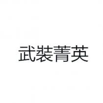 武裝菁英