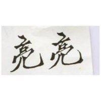 亮亮