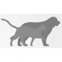 動物圖