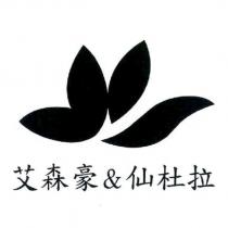艾森豪&仙杜拉及圖