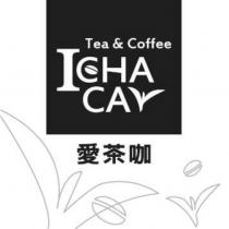 愛茶咖 I CHA CA 及圖