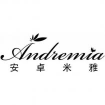 安卓米雅及 Andremia 設計圖