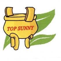 TOP SUNNY 綠葉黃金鼎設計圖