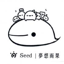 Seed 夢想雨果及圖