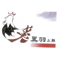 七美黑羽土雞及圖