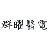 群曜醫電
