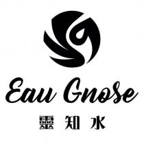 靈知水 Eau Gnose 及圖