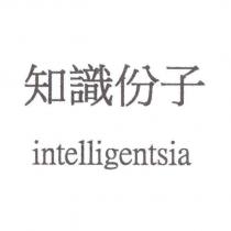 知識份子 intelligentsia