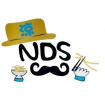 NDS 及圖