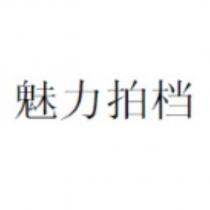 魅力拍檔