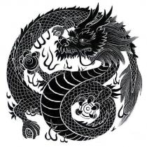 龍設計圖