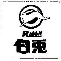 白兔 RABBIT 及圖 
