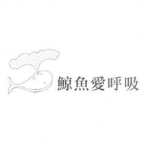 鯨魚愛呼吸及圖