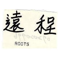遠程 ROOTS
