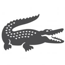 CROCODILE DESIGN