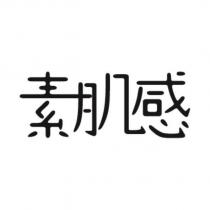 素肌感