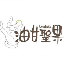 油甘聖果及圖 Amalaka