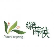 綠色蒔秧 NATURE SO YOUNG 及圖
