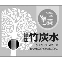 氧森 YANG SEN 及圖